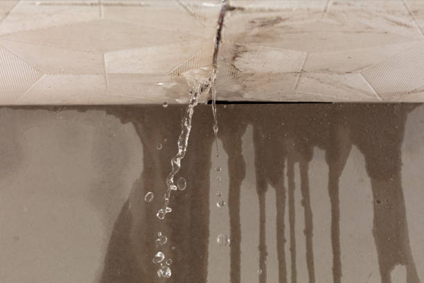 Professional Water Damage Repair technician working in Paige, TX
